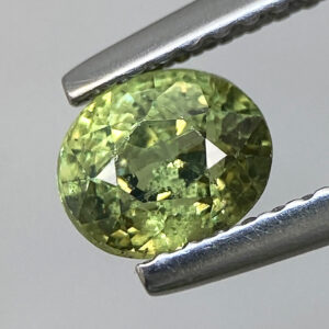 Parrot Green Demantoid Garnet 1.03ct